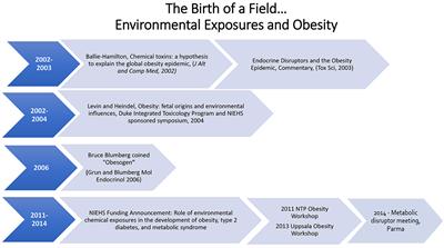 History of the Obesogen Field: Looking Back to Look Forward